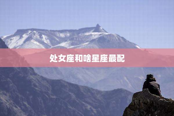 处女座和啥星座最配