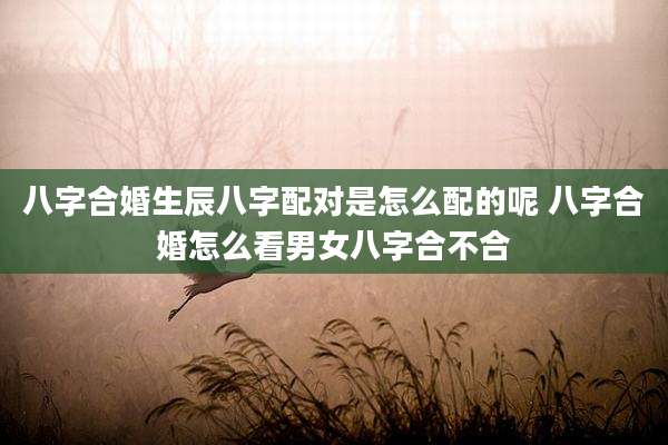 八字合婚生辰八字配对是怎么配的呢 八字合婚怎么看男女八字合不合