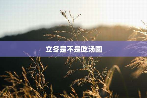 立冬是不是吃汤圆