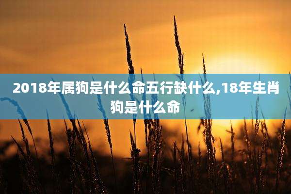2018年属狗是什么命五行缺什么,18年生肖狗是什么命