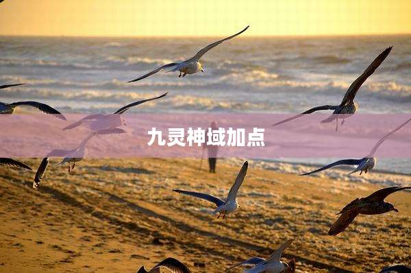 九灵神域加点