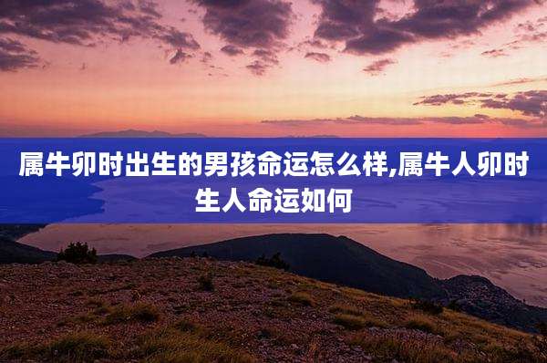 属牛卯时出生的男孩命运怎么样,属牛人卯时生人命运如何