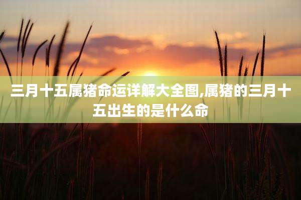 三月十五属猪命运详解大全图,属猪的三月十五出生的是什么命