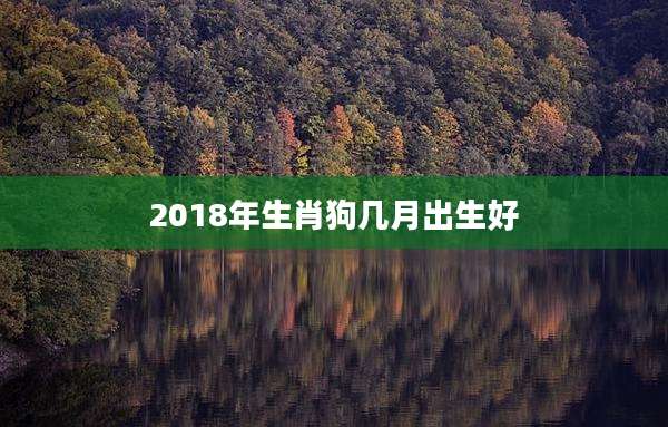 2018年生肖狗几月出生好