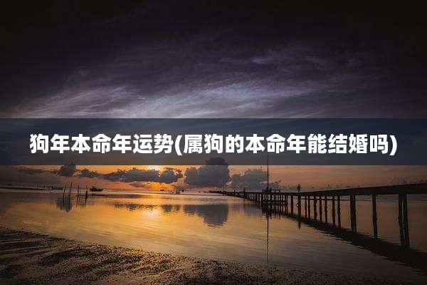 狗年本命年运势(属狗的本命年能结婚吗)