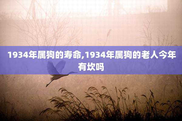 1934年属狗的寿命,1934年属狗的老人今年有坎吗