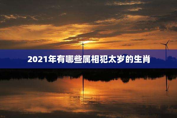 2021年有哪些属相犯太岁的生肖