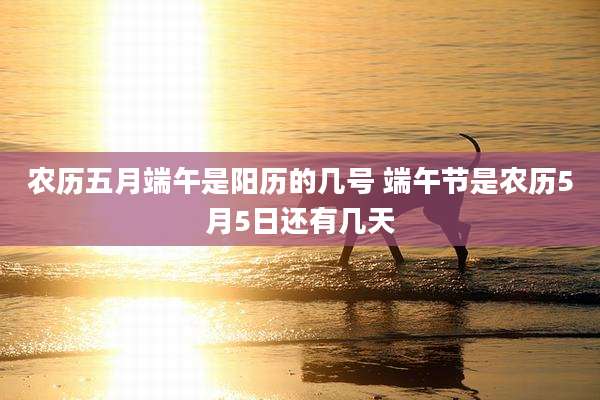 农历五月端午是阳历的几号 端午节是农历5月5日还有几天