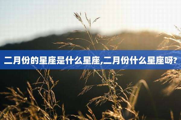 二月份的星座是什么星座,二月份什么星座呀?