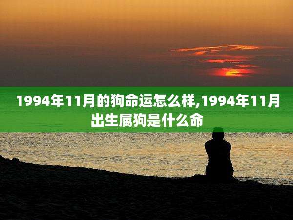 1994年11月的狗命运怎么样,1994年11月出生属狗是什么命