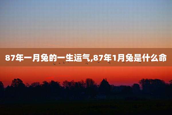 87年一月兔的一生运气,87年1月兔是什么命