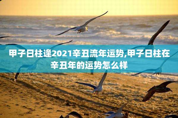 甲子日柱逢2021辛丑流年运势,甲子日柱在辛丑年的运势怎么样