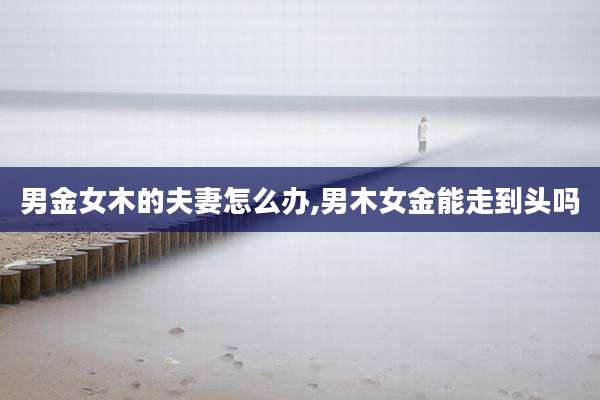 男金女木的夫妻怎么办,男木女金能走到头吗