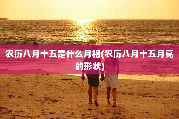 农历八月十五是什么月相(农历八月十五月亮的形状)