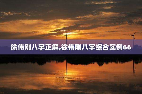 徐伟刚八字正解,徐伟刚八字综合实例66