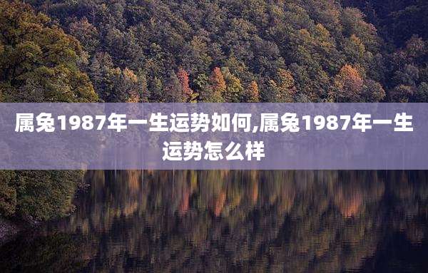 属兔1987年一生运势如何,属兔1987年一生运势怎么样
