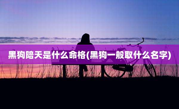 黑狗陪天是什么命格(黑狗一般取什么名字)