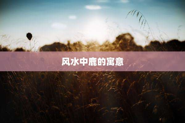 风水中鹿的寓意