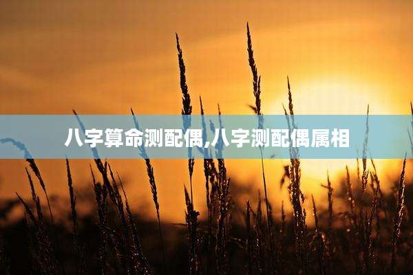 八字算命测配偶,八字测配偶属相