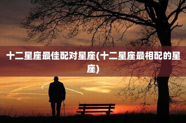 十二星座最佳配对星座(十二星座最相配的星座)