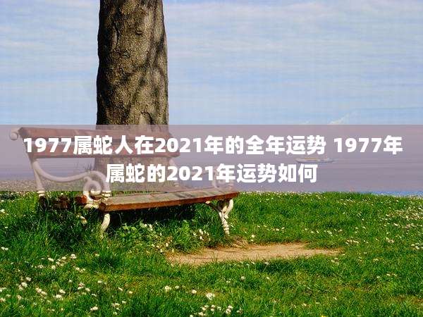 1977属蛇人在2021年的全年运势 1977年属蛇的2021年运势如何