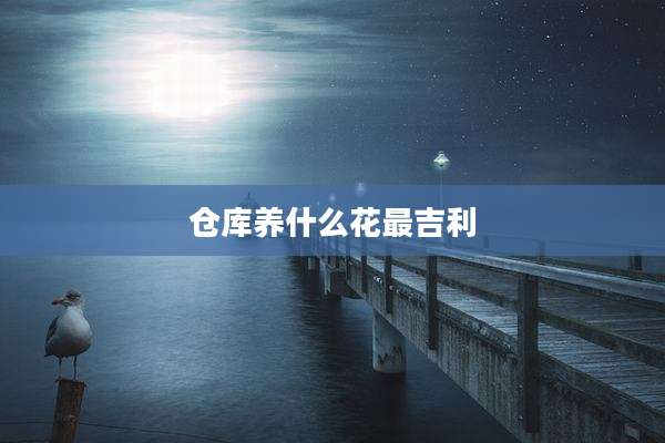 仓库养什么花最吉利