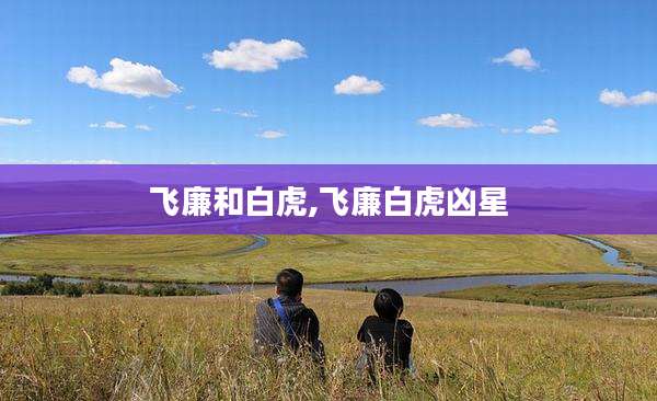 飞廉和白虎,飞廉白虎凶星