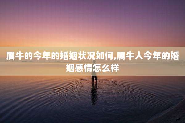 属牛的今年的婚姻状况如何,属牛人今年的婚姻感情怎么样