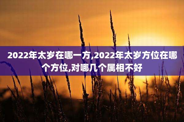 2022年太岁在哪一方,2022年太岁方位在哪个方位,对哪几个属相不好