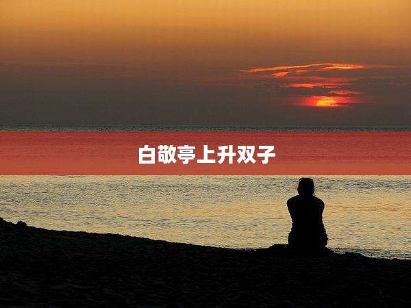 白敬亭上升双子