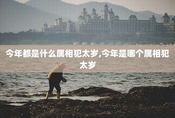 今年都是什么属相犯太岁,今年是哪个属相犯太岁