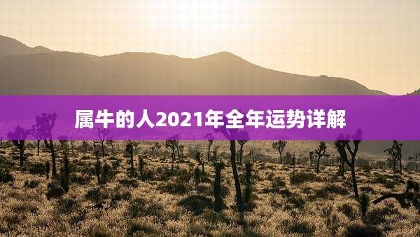 属牛的人2021年全年运势详解