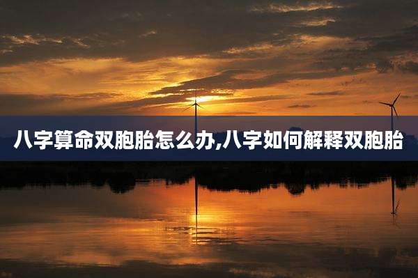 八字算命双胞胎怎么办,八字如何解释双胞胎