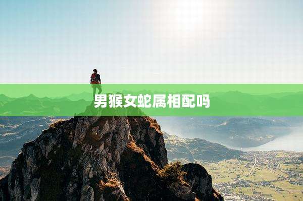 男猴女蛇属相配吗