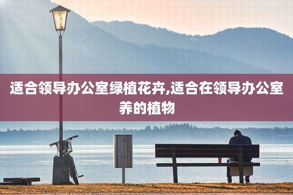 适合领导办公室绿植花卉,适合在领导办公室养的植物