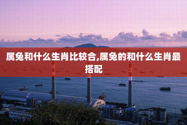 属兔和什么生肖比较合,属兔的和什么生肖最搭配