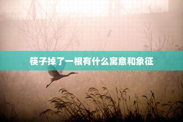 筷子掉了一根有什么寓意和象征