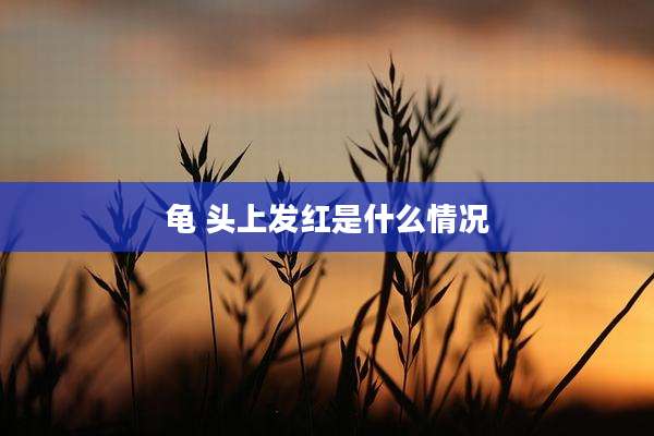 龟 头上发红是什么情况