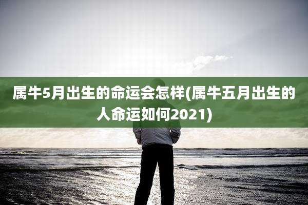 属牛5月出生的命运会怎样(属牛五月出生的人命运如何2021)