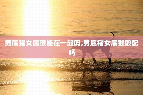 男属猪女属猴能在一起吗,男属猪女属猴般配吗
