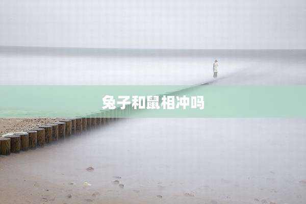 兔子和鼠相冲吗