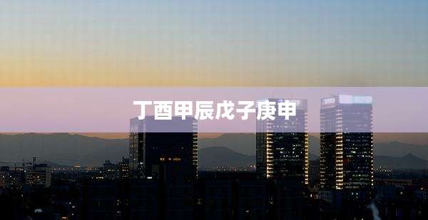 丁酉甲辰戊子庚申