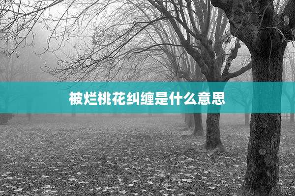被烂桃花纠缠是什么意思