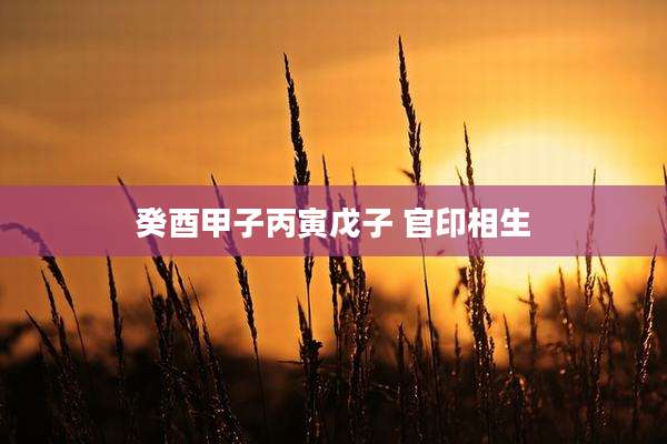 癸酉甲子丙寅戊子 官印相生