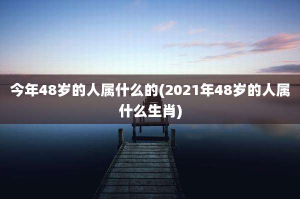 今年48岁的人属什么的(2021年48岁的人属什么生肖)