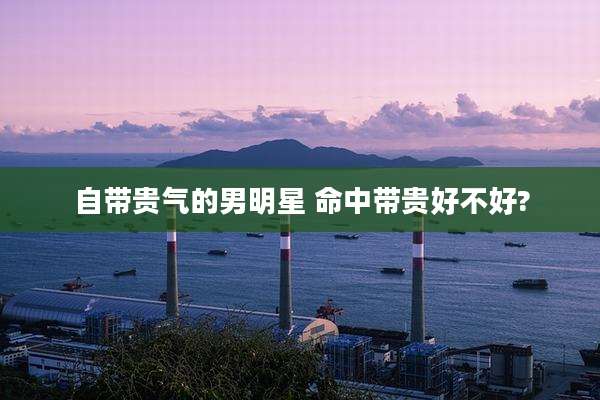 自带贵气的男明星 命中带贵好不好?