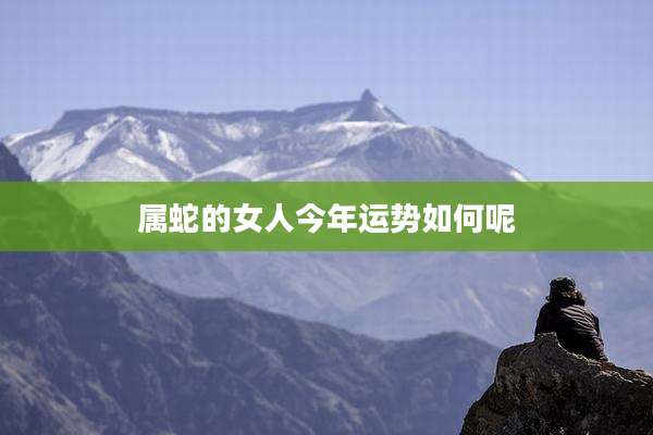 属蛇的女人今年运势如何呢