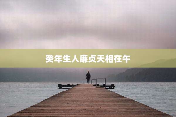 癸年生人廉贞天相在午