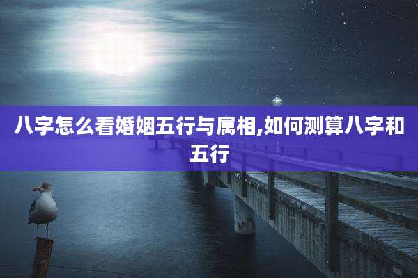 八字怎么看婚姻五行与属相,如何测算八字和五行