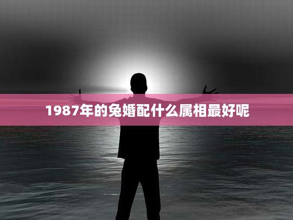 1987年的兔婚配什么属相最好呢
